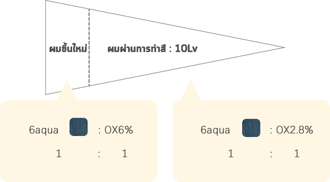 ผมขึ้นใหม่ ผมผ่านการทำสี : 10Lv