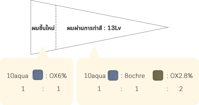 ผมขึ้นใหม่ ผมผ่านการทำสี : 13Lv