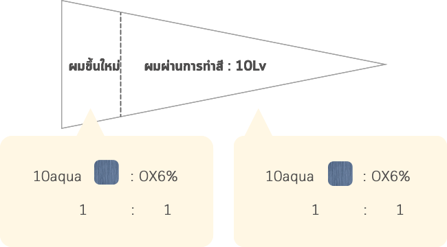 ผมขึ้นใหม่ ผมผ่านการทำสี : 10Lv