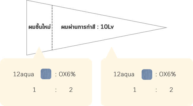 ผมขึ้นใหม่ ผมผ่านการทำสี : 10Lv