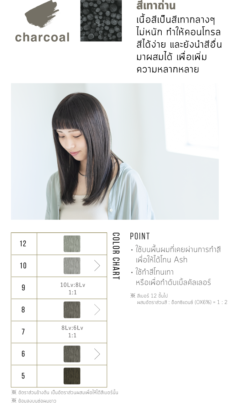 สีเทาถ่าน