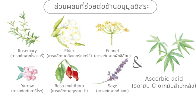 ป้องกันผมเสีย ด้วยสารต้านอนุมูลอิสระ