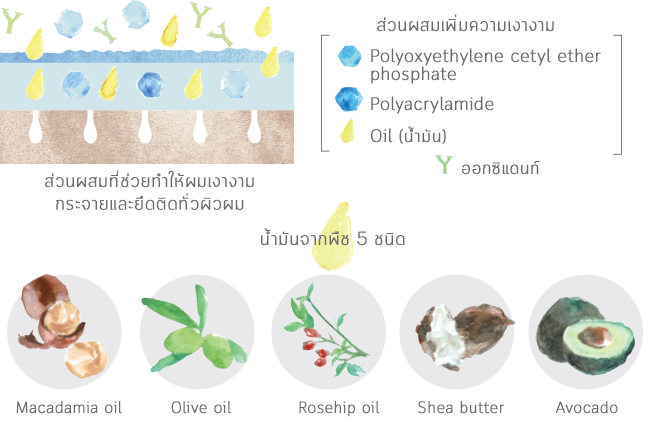 เงางาม ประสิทธิภาพของทรีตเมนต์ดีและอยู่ได้นานขึ้น