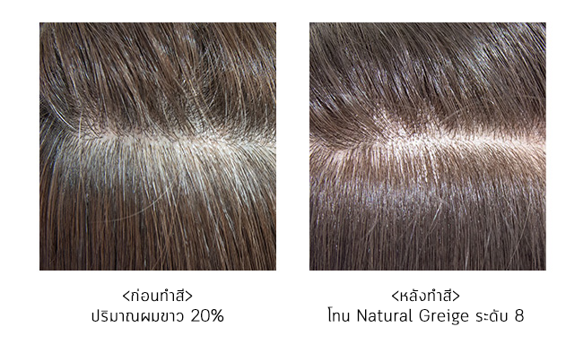 ตัวอย่าง 8ochre : 5charcoal = 1 : 1