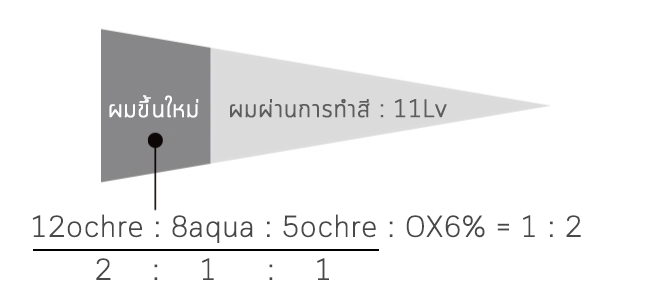Case study ช่วงโคนผมขึ้นใหม่มีปริมาณผมขาว 10% ต้องการได้โทน Ash ระดับ 9