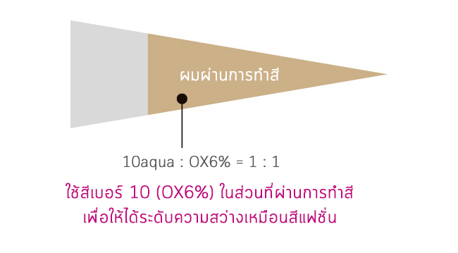 โทน Ash ระดับ 9