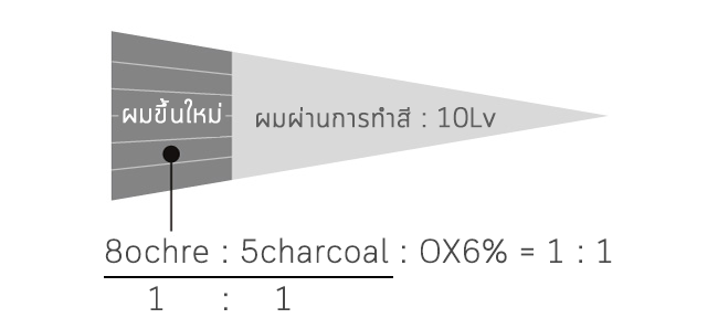 Case study ปริมาณผมขาว 20% ต้องการได้โทน Natural Greige ระดับ 8
