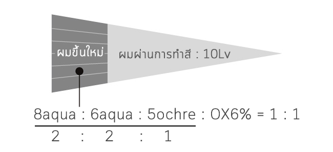 Case study ปริมาณผมขาว 10~20% ต้องการได้โทน Ash ระดับ 7