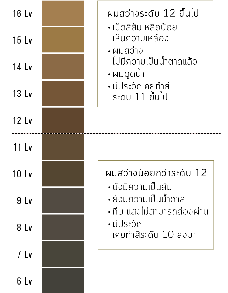 ตรวจสอบสภาพเส้นผม ผมสว่างระดับ 12 ขึ้นไป