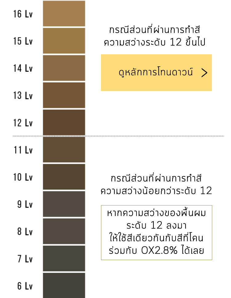 วิธีใช้น้ำยา กรณีส่วนที่ผ่านการทำสีความสว่างระดับ 12 ขึ้นไป