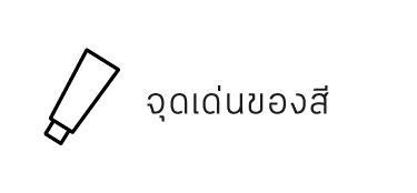 จุดเด่นของสี