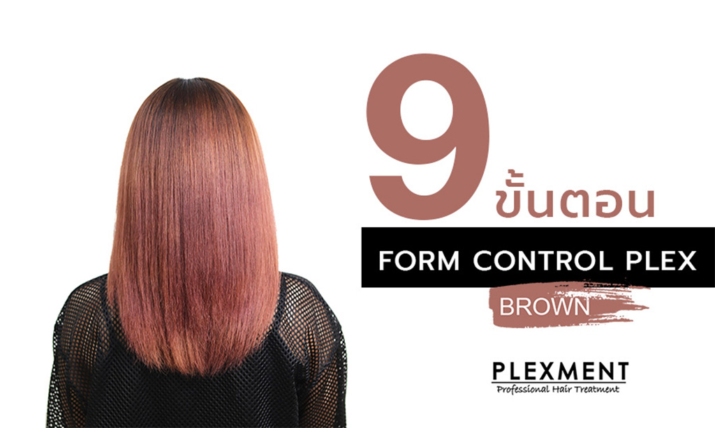 9 ขั้นตอนทำ Form Control Plex - Brown 9 ขั้นตอนทำ Form Control Plex - Brown