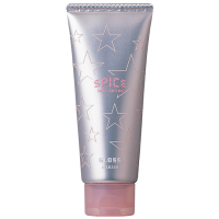 ARIMINO SPICE TUBE GLOSS