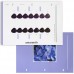 ชาร์ทสีย้อมผม COLOR CHART FOR ADMIO
