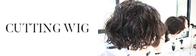 CUTTING WIG